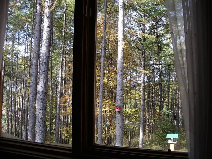  حیاط by Cottage Style / コテージスタイル