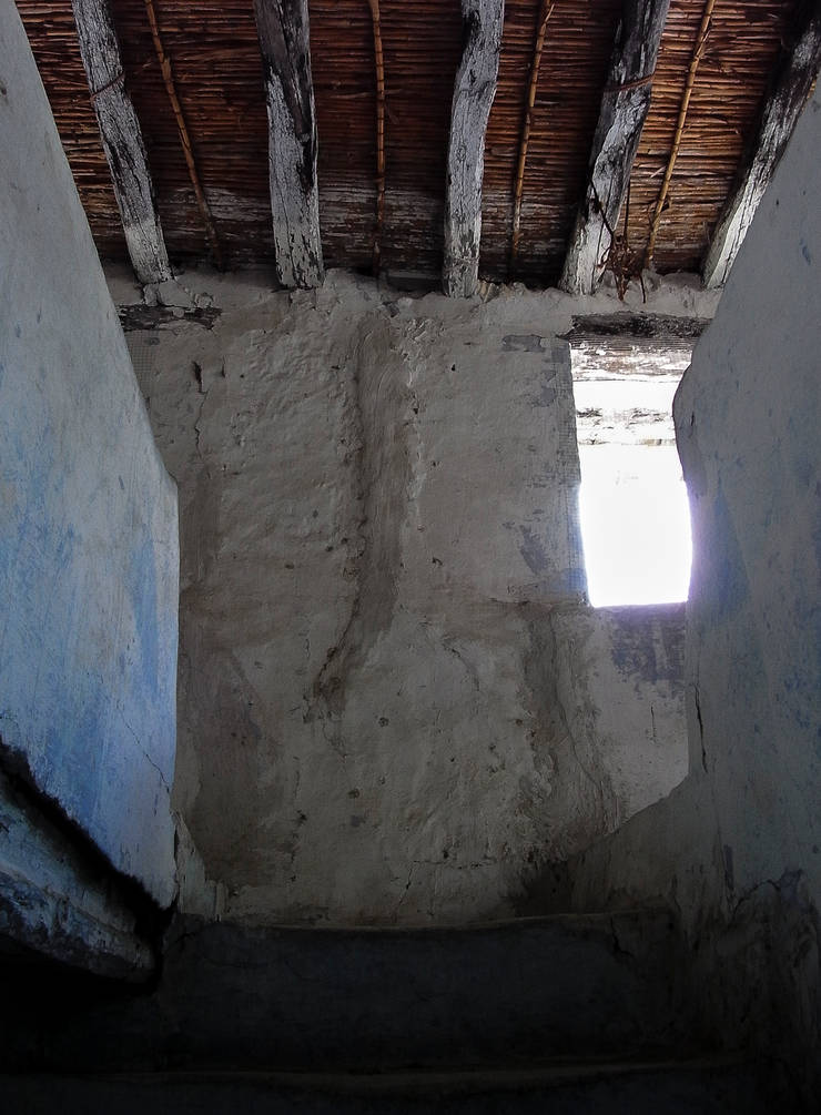   تنفيذ FGMarquitecto