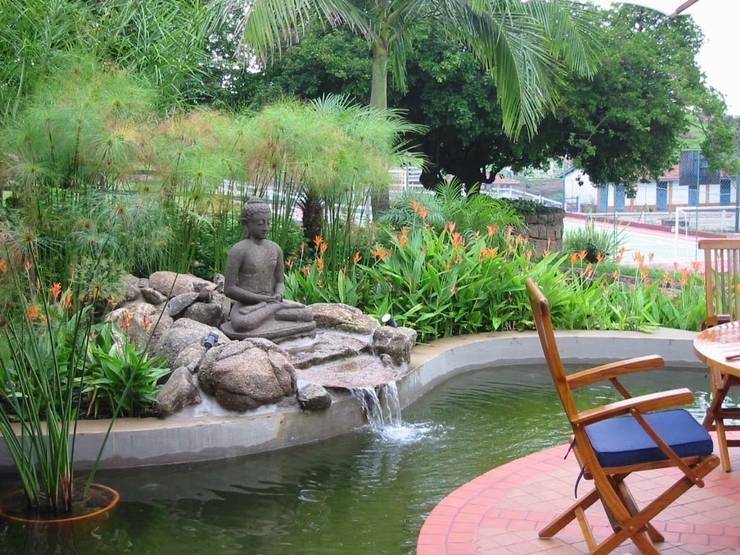 8 pasos para crear ¡un jardín tropical!