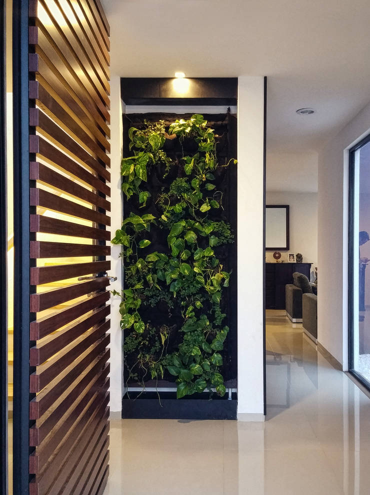 MURO VERDE COMO REMATE VISUAL Región 4 Arquitectura Pasillos, vestíbulos y escaleras de estilo minimalista