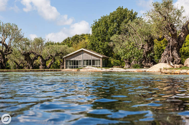 PASSAGE CITRON:  tarz Evler