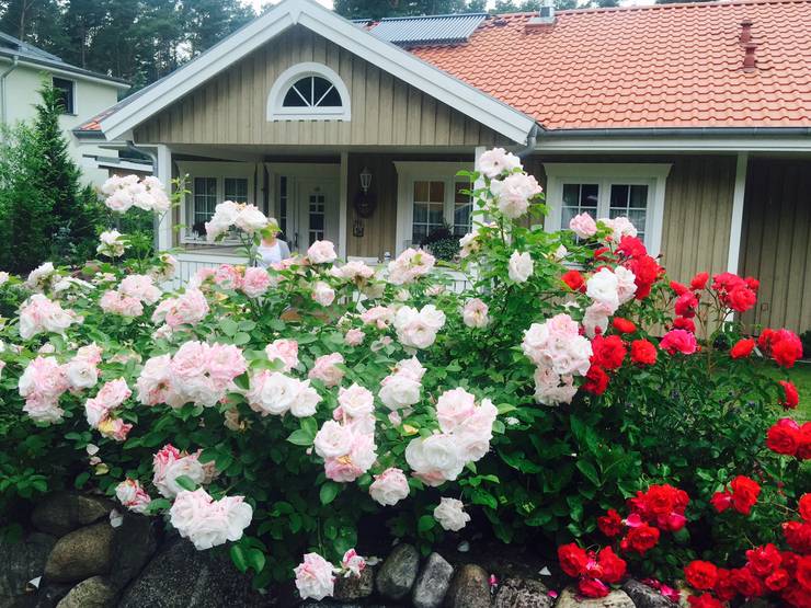  منازل تنفيذ miacasa