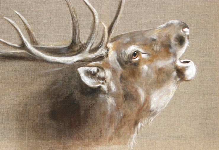 TABLEAUX ANIMALIERS FAUNE SAUVAGE par Odile Laresche Artiste Peintre Animalier homify TABLEAUX ANIMALIERS FAUNE SAUVAGE par Odile Laresche Artiste Peintre Animalier homify