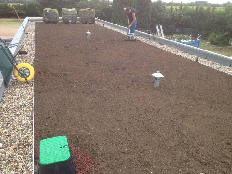 Cómo hacer un drenaje para agua lluvia en tu patio