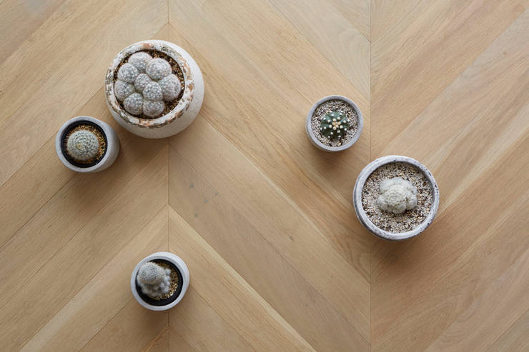   جدران تنفيذ aoydesign 株式会社アオイデザイン