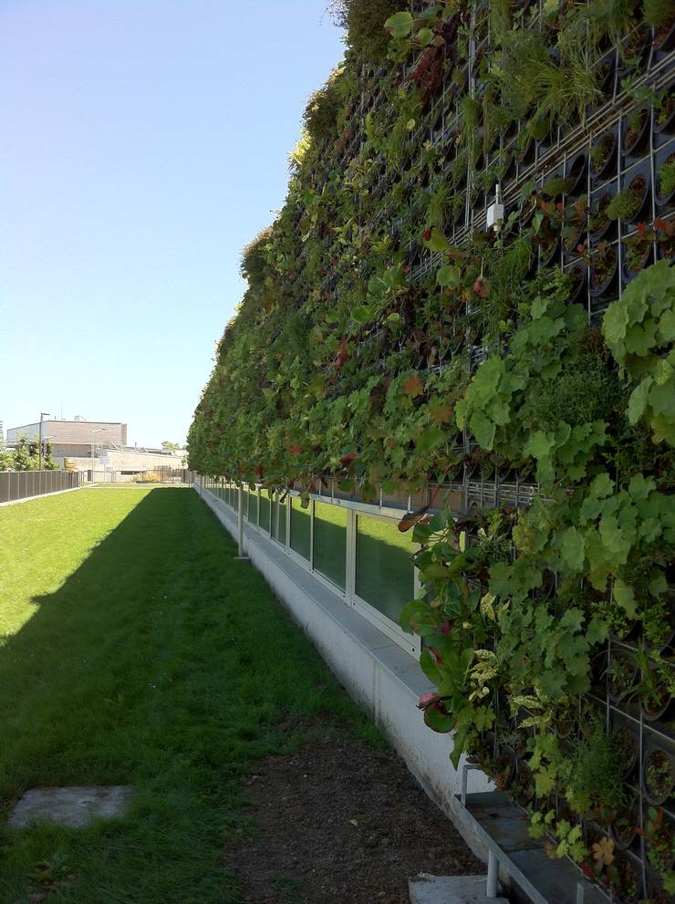 Végétaux naturels Façade végétalisée / Mur végétal extérieur (Lycée — free download