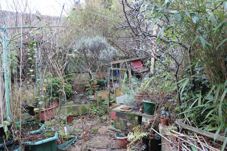 Chaotischer Garten wird zur luxuriösen Oase