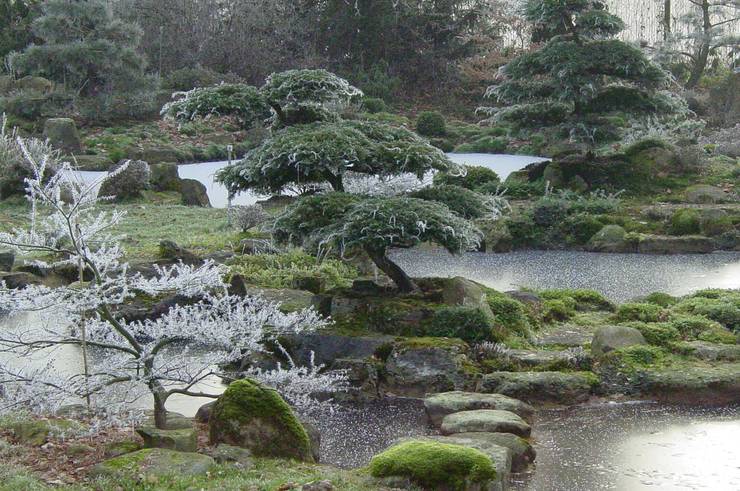 japanische Gärten im Winter von japan-garten-kultur | homify japanische Gärten im Winter von japan-garten-kultur | homify