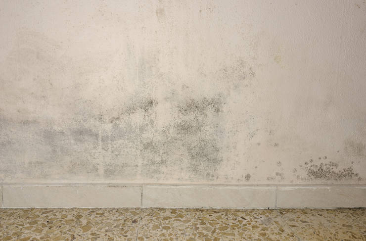 Umidità di risalita: cause e soluzioni Appartamento piano terra umidità