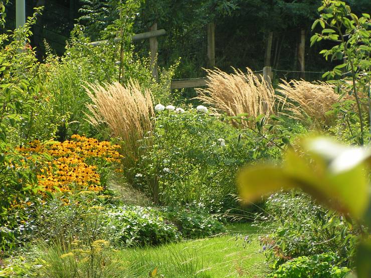 Gräser im Garten Ein Überblick über Arten, Pflege und