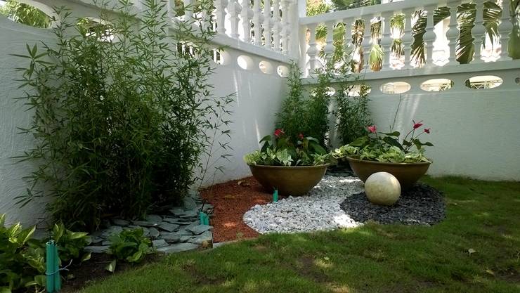 Jardinería en casa: 14 plantas que se verán fabulosas en tu patio