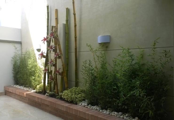 Jardinería en casa: 14 plantas que se verán fabulosas en tu patio