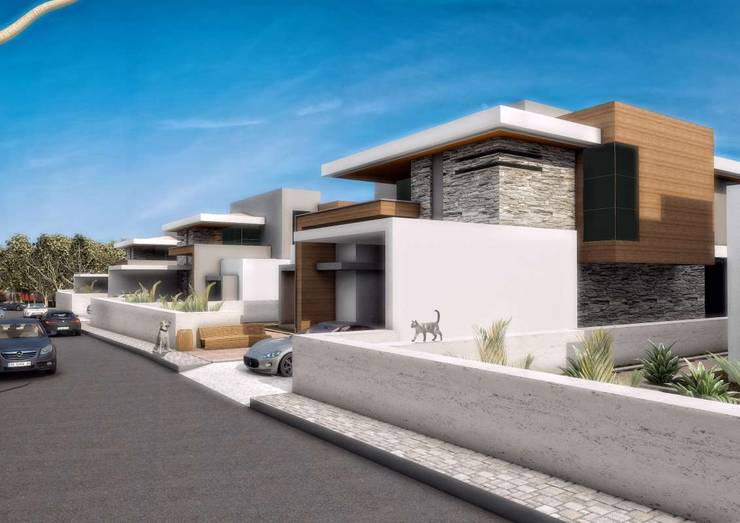 VERO CONCEPT MİMARLIK – Villa Mira:  tarz Evler