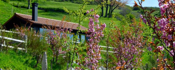 Hotel in stile  di Rusticasa