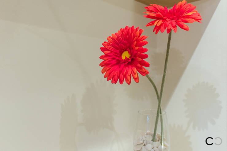  الممر والمدخل تنفيذ CCVO Design and Staging