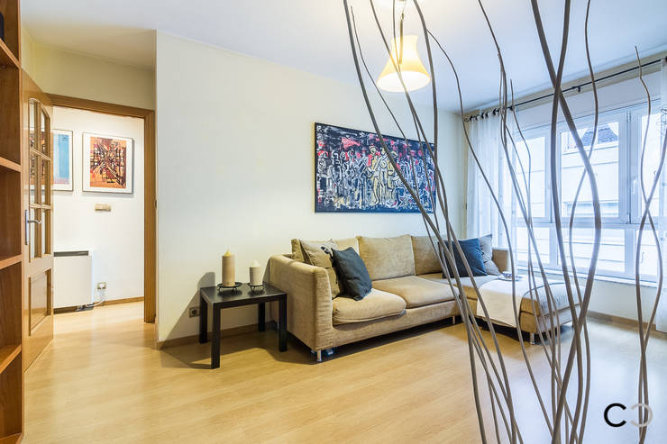  غرفة المعيشة تنفيذ CCVO Design and Staging