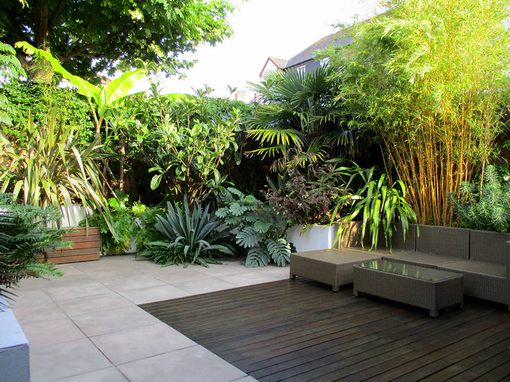 Modern Tropical Garden Design By Post By Lush Garden Design - 