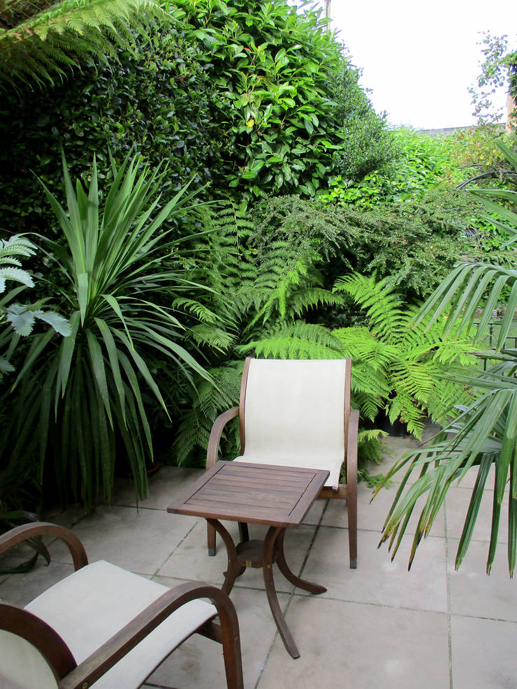 Modern Tropical Garden Design by Post by Lush Garden Design | homify