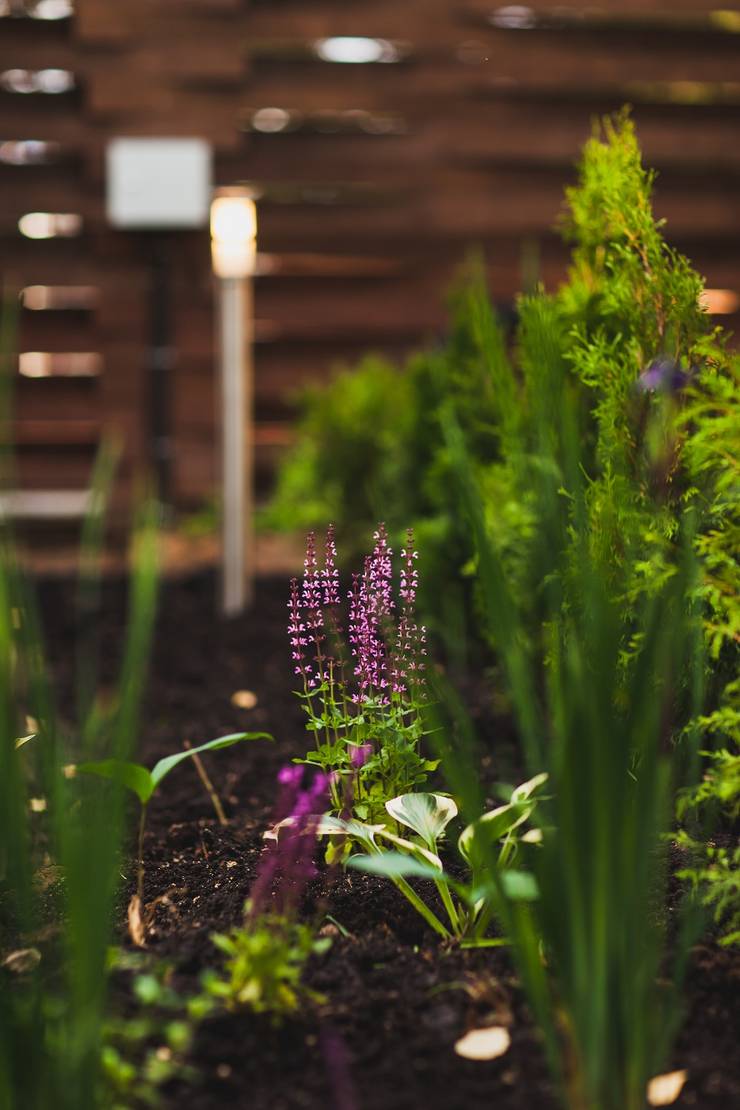 Jardines de estilo  por Anastasia Yakovleva design studio