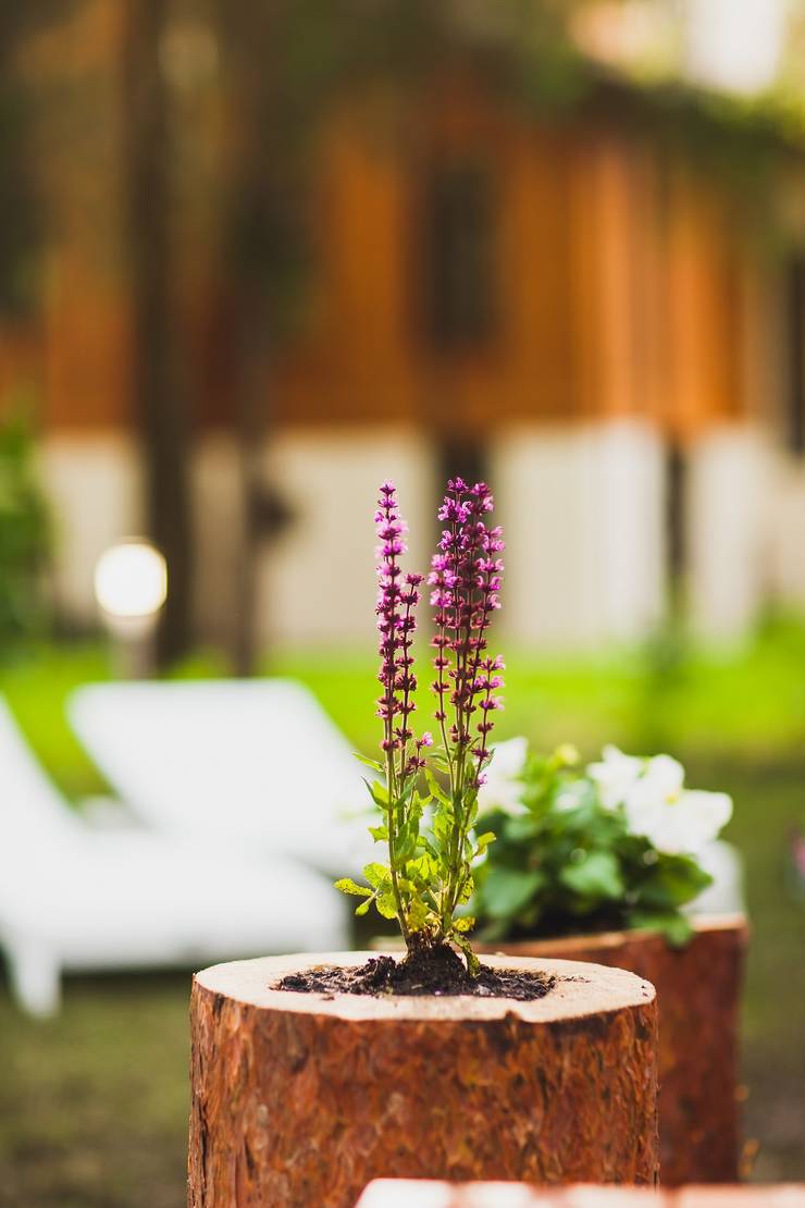 Jardines de estilo  por Anastasia Yakovleva design studio