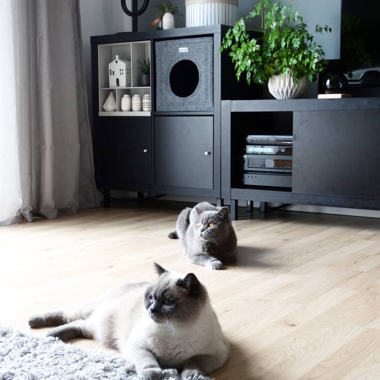 IKEA Hack: Regal Kallax wir zum Katzenmöbel verwandelt von DIE MODERNE ... - Image3 Stereo
