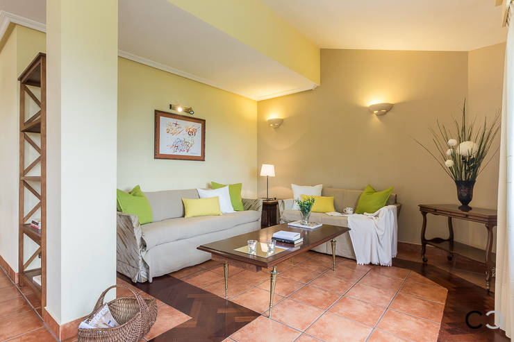  غرفة المعيشة تنفيذ CCVO Design and Staging