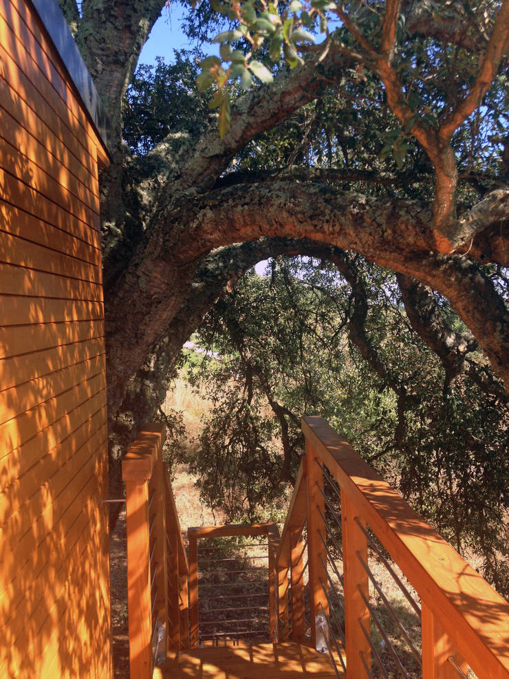  منزل خشبي تنفيذ Livingreen - Architetto Barbara Tavoso