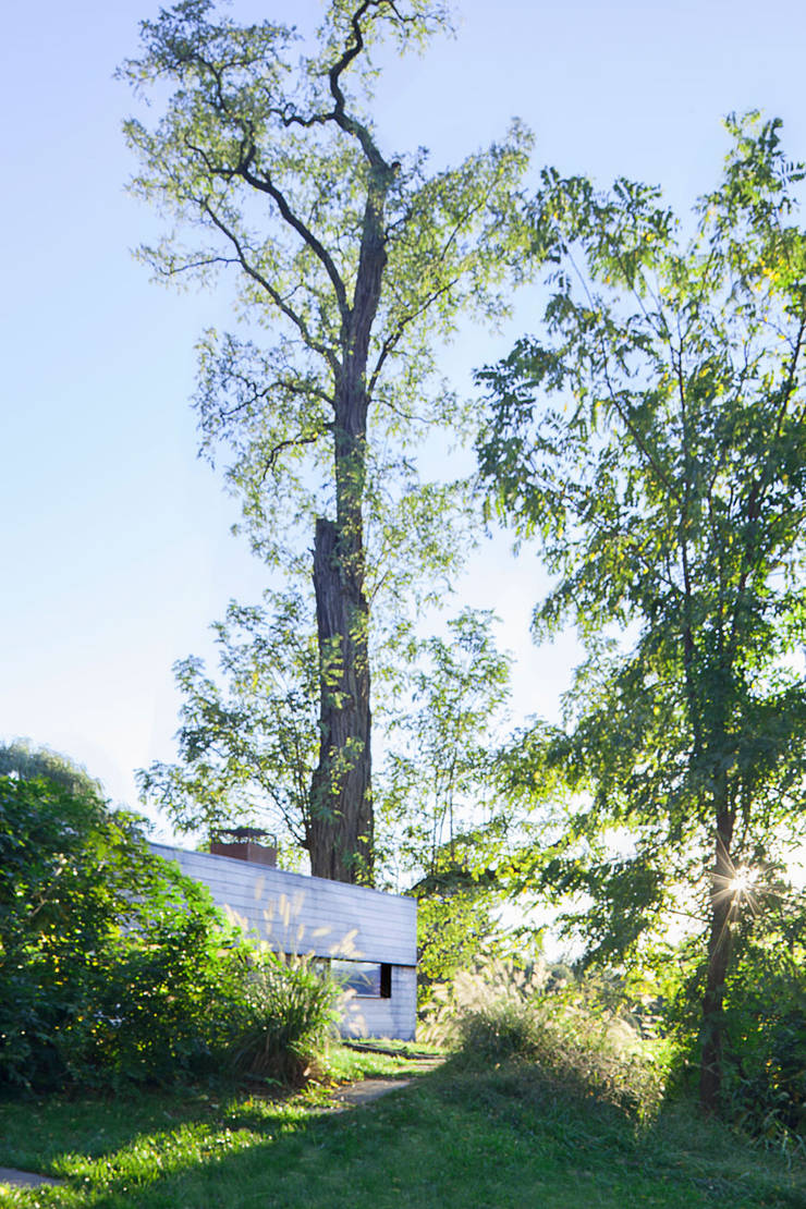  منزل خشبي تنفيذ andretchelistcheffarchitects