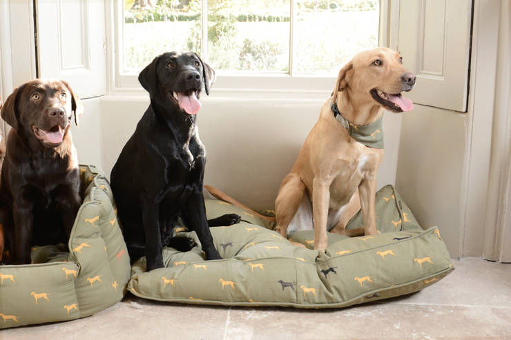 Sophie Allport Fab Labs Pet Beds Sophie Allport その他のスペース 綿 緑 ペットアクセサリー