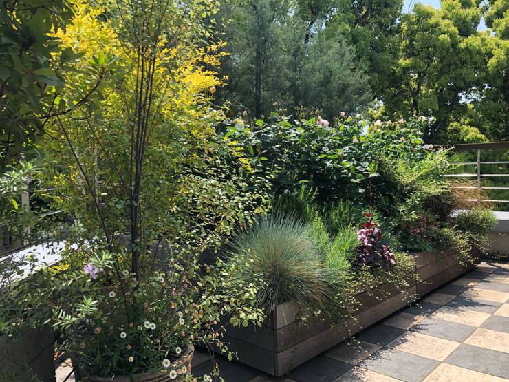  Hiên, sân thượng by 株式会社ムサ・ジャパン　ヴェルデ