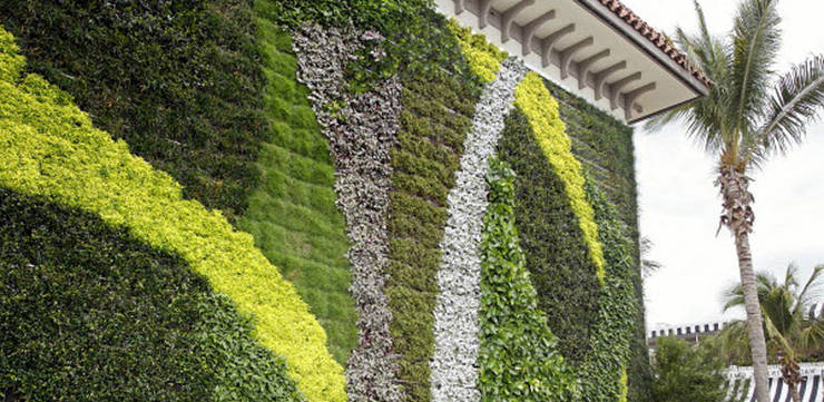 10 Gambar Desain Taman Vertikal Vertical Garden By Tukang