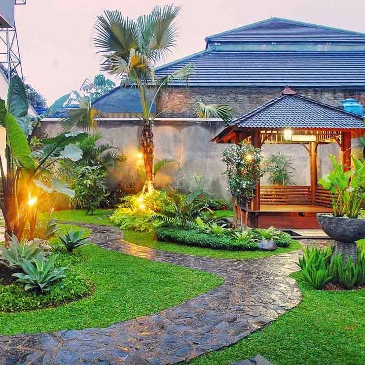 7 Jenis Rumput Cantik untuk Taman Impian