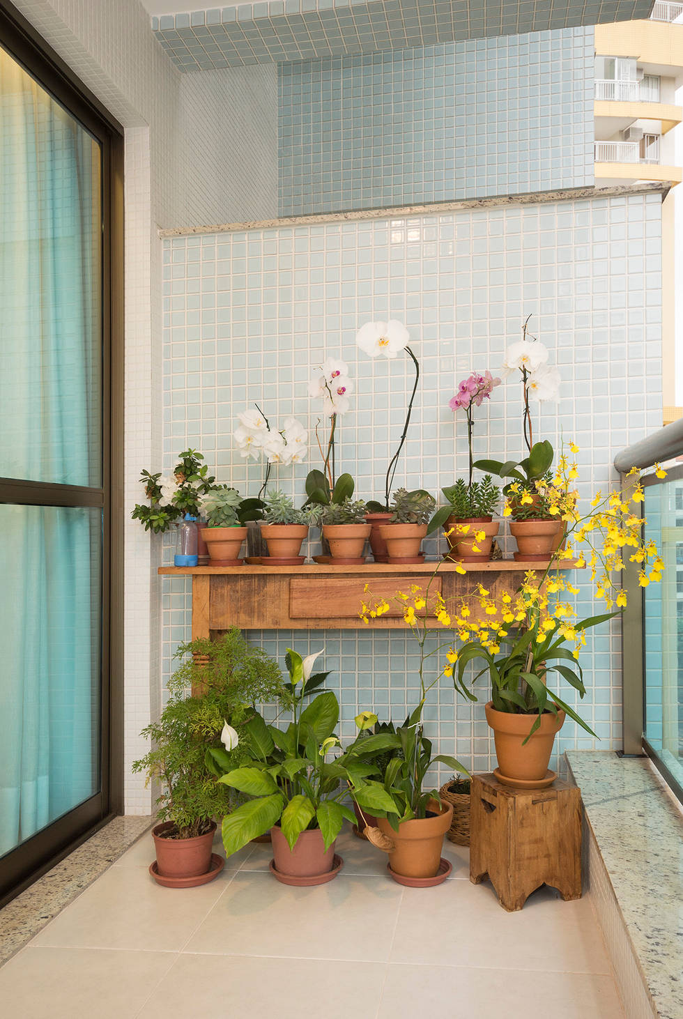 На фото - Украсьте свой сад 9 привлекательными растениями
				