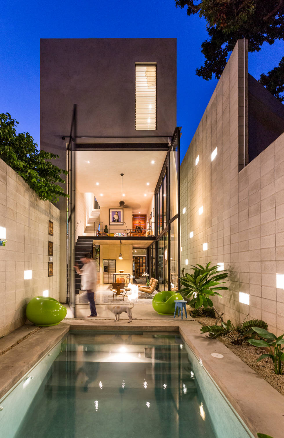 The incredible 6.5m-wide house