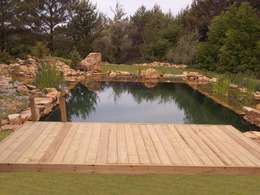 piscinas ecolgicas natural pools piscinas de estilo mediterrneo de vivsa vivienda sana - Piscinas Ecologicas piscinas ecolgicas natural pools piscinas de estilo mediterrneo de vivsa vivienda sana - Piscinas Ecologicas