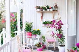 Garden by Pflanzenfreude.de