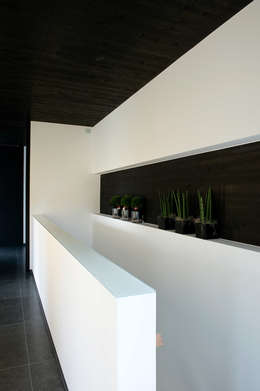 Massivholz und Beton: Traumkombi für's Haus