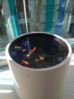 Especial Jardín: 10 hermosas formas de incorporar agua