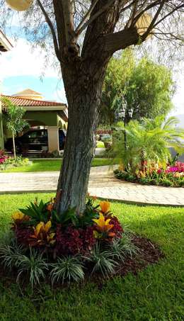 6 secretos que harán que el césped de tu jardín se vea sensacional