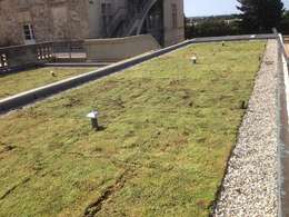 Cómo hacer un drenaje para agua lluvia en tu patio