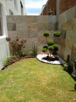42 idee per realizzare un giardino piccolo e sorprendente Creare un piccolo giardino in casa