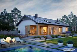 ​Проект красивого польского дома за 4,3 млн рублей