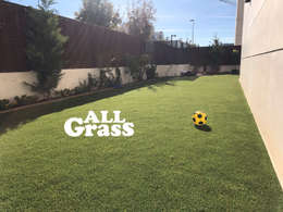 Jardines de estilo minimalista por Allgrass Solutions