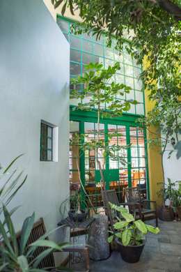 Hermosa casa alrededor de un árbol