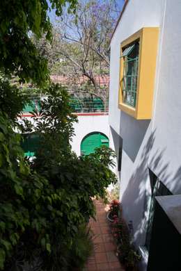Hermosa casa alrededor de un árbol