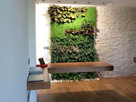 Garden: design ideas & pictures | homify