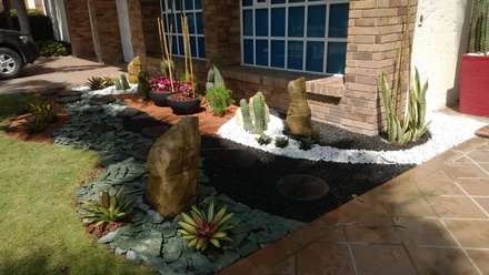 Tropische Gartengestaltung, Ideen und Bilder | homify