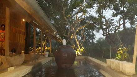 Tropische Gartengestaltung, Ideen und Bilder | homify