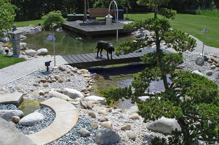Kolam taman: Ide desain, inspirasi & gambar  homify