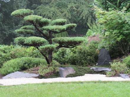 Asiatische Gartengestaltung, Ideen und Bilder | homify Asiatische Gartengestaltung, Ideen und Bilder | homify